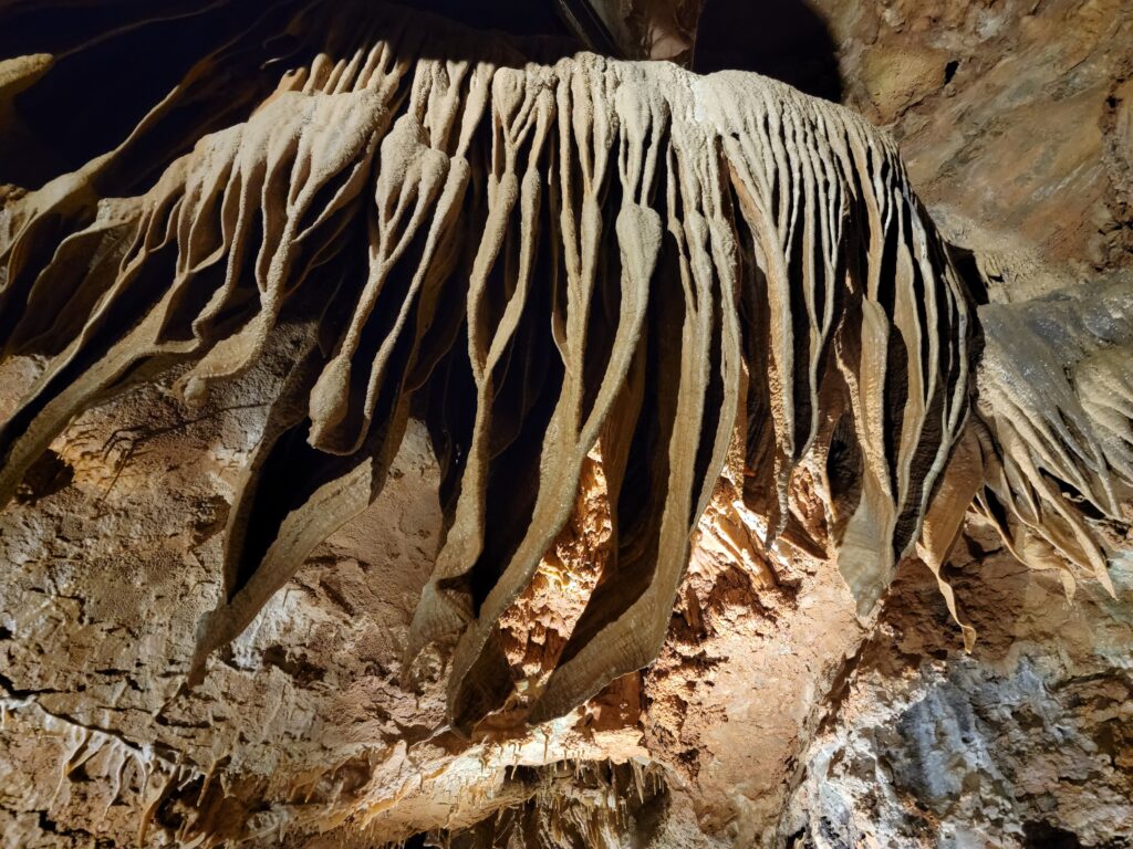 Bacon, Talking Rocks Cavern