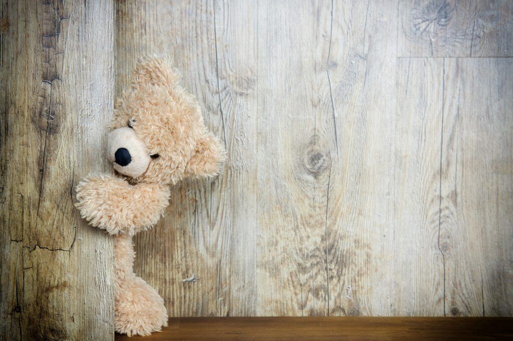 bear, teddy bear, cuddling bear-3096377.jpg